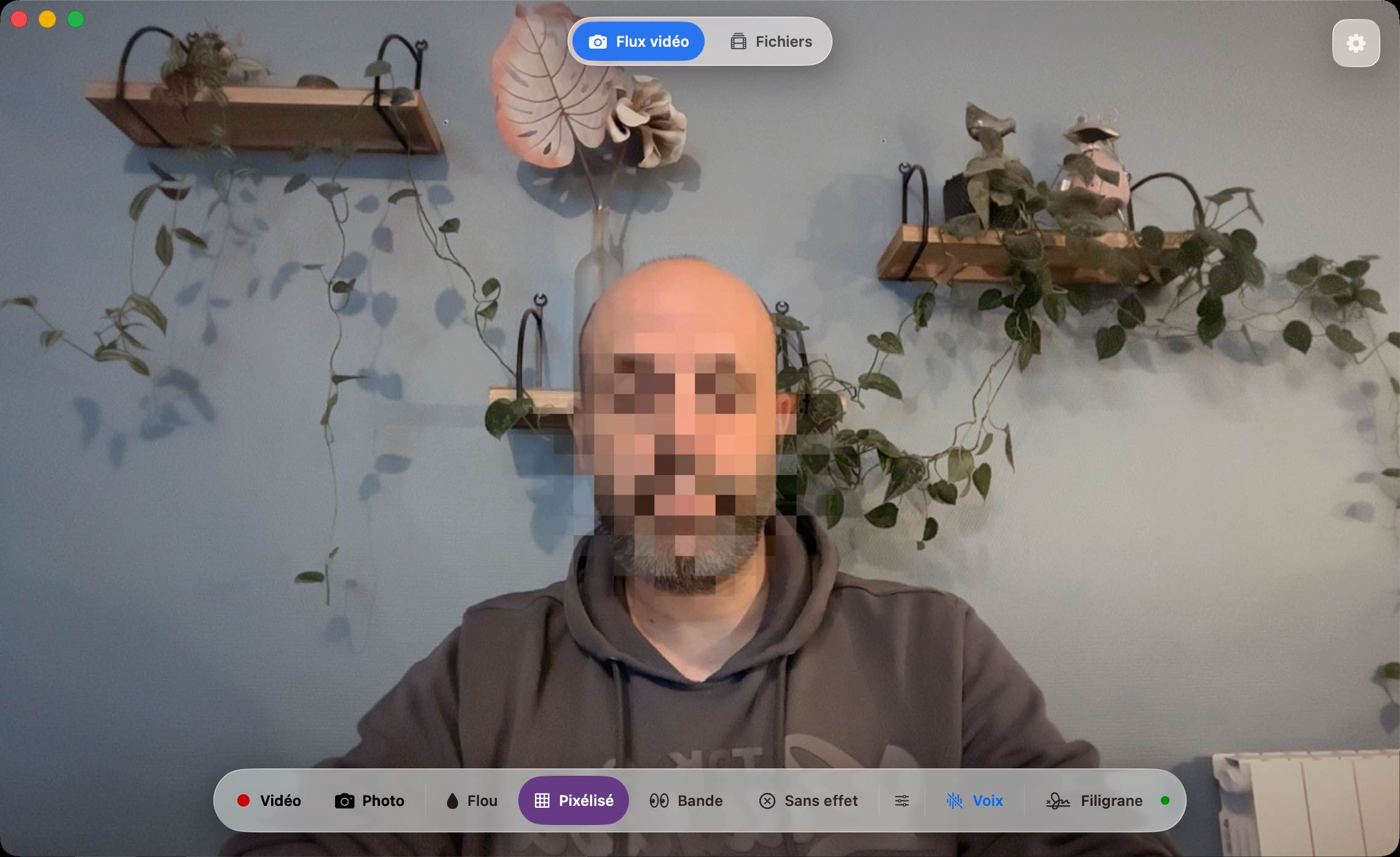 Aperçu de l'interface Oculta avec filtre flou